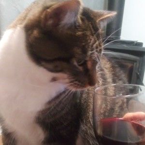 Meet your Posher, Kaci